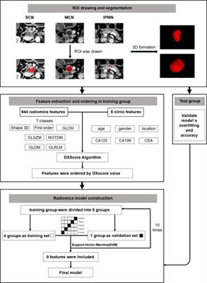 Differential diagnosis of pancreatic cystic neoplasms through a radiomics-assisted system